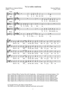 Vu la vedéu madonna