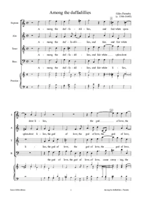 Among the daffadillies