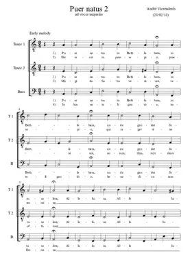 Puer natus in Bethlehem II