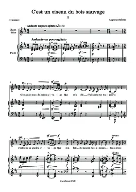 C’est un oiseau du bois sauvage