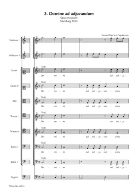 Domine ad adjuvandum