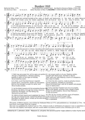 Bunker Hill - Sylvanus Ripley (attributed)