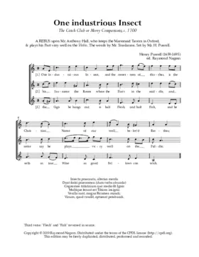 One industrious insect, Z 266