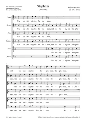 Und sie steinigten Stephanum