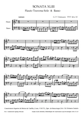 Flute Sonata in E minor