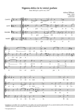 Signora dolce io te vorrei parlare