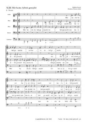 Mir hastu Arbeit gemacht