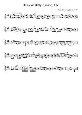 The Hawk of Ballyshannon