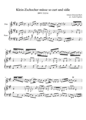 Mer hahn en neue Oberkeet BWV 212