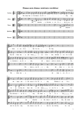 Domus mea domus orationis vocabitur