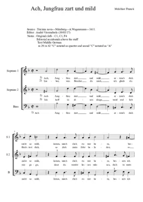 Ach Jungfrau zart und mild