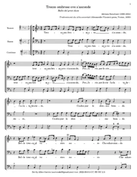 Trecce ombrose ove s'asconde