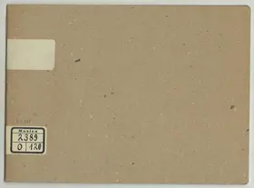 Violin Concerto in B minor