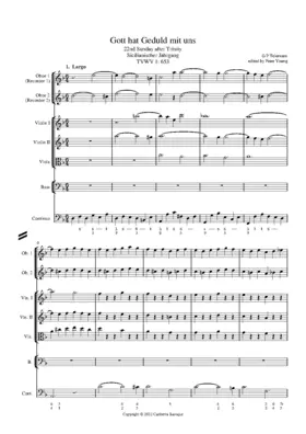 Gott hat Geduld mit uns, TWV 1:653