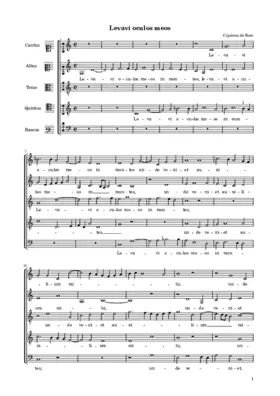 Levavi oculos meos in montes