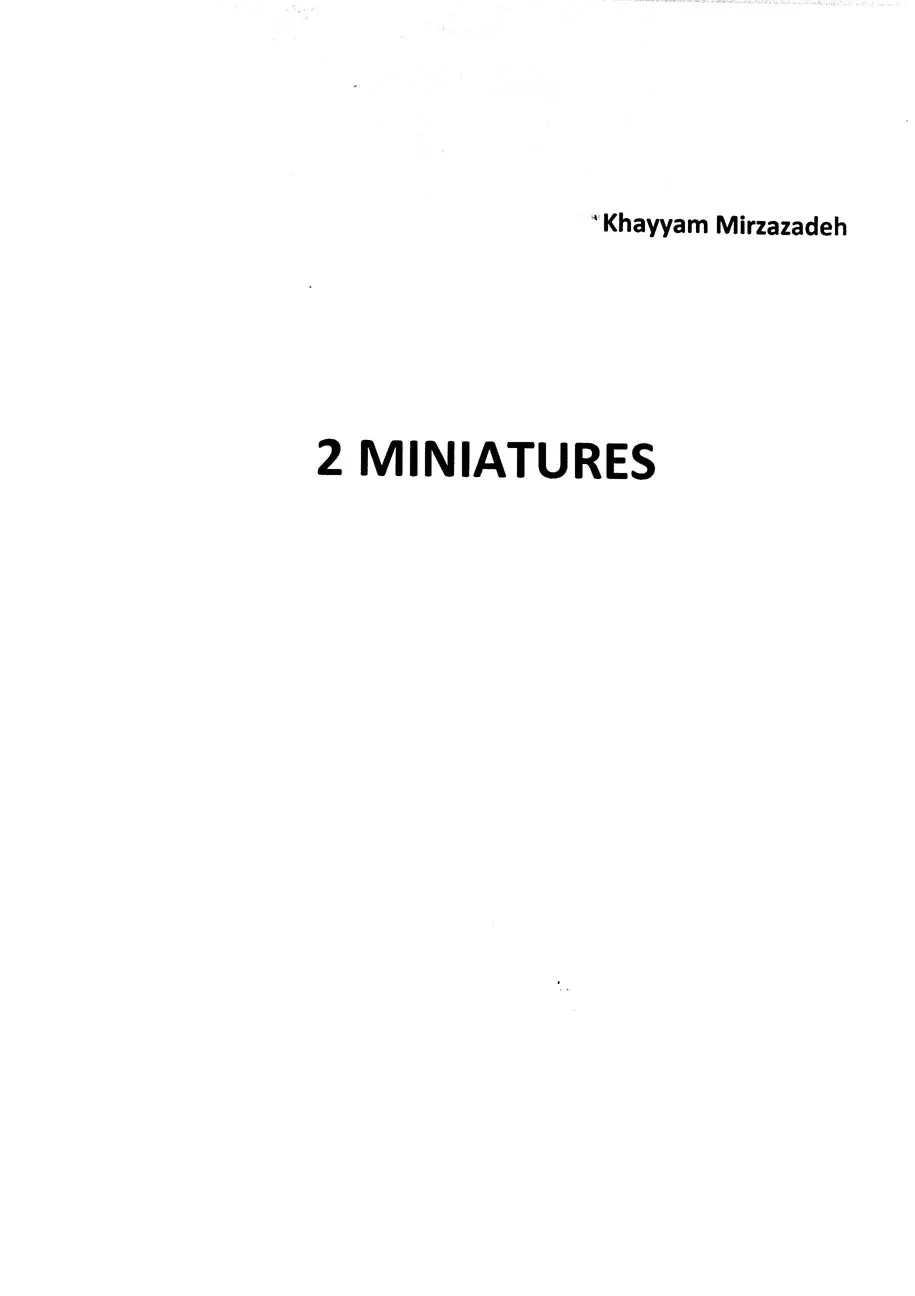 2 miniatures - Page 1