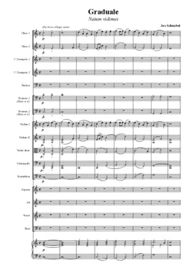 Graduale: Natum vidimus