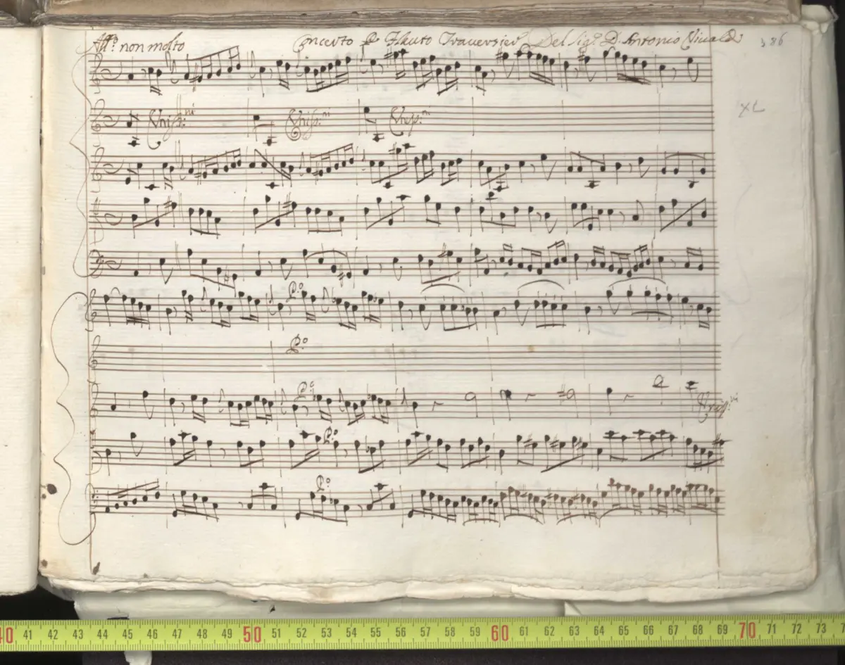 Flute Concerto in A minor - Page 1