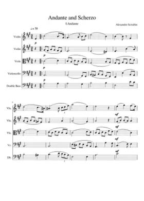 Andante for String Orchestra