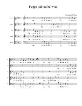 Fugge dal tuo bel viso