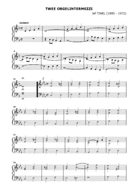 Twee intermezzi voor orgel