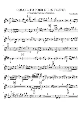 CL1. CONCERTO 2 FLUTES