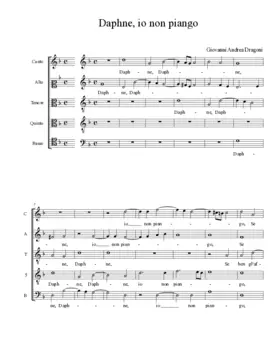 Daphne, io non piango