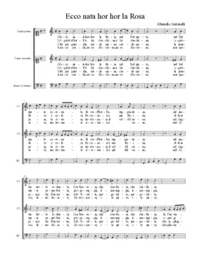 Ecco nata hor hor la Rosa