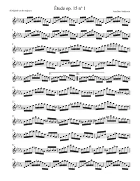 24 Etudes for Flute