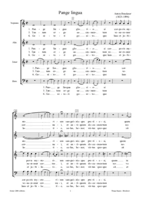 Pange lingua - Tantum ergo (Phrygian), WAB 33