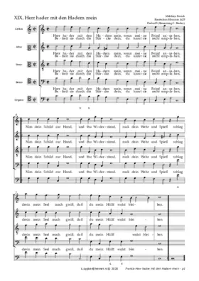 Herr hader mit den Hadern mein