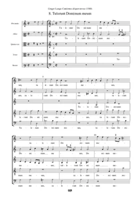 Tulerunt Dominum meum