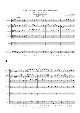 Ach, wie beisst mich mein Gewissen