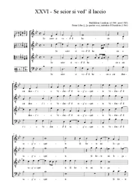 Se scior si ved' il laccio