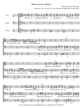 Bianca neve ò Bianca