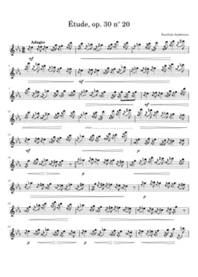 24 Etudes for Flute Op.30