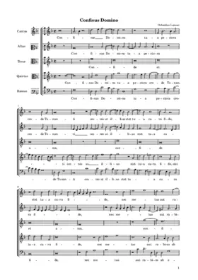 Confisus Domino