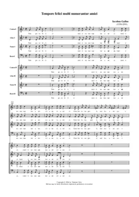 Tempore felici multi numerantur amici