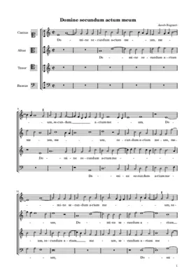 Domine secundum actum meum