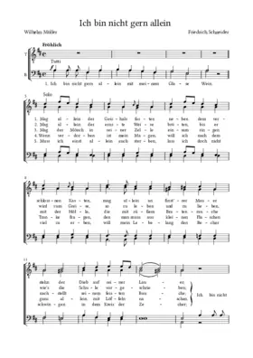 Ich bin nicht gern allein