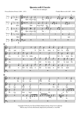 Questa ordi il laccio