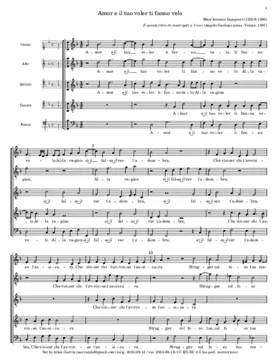 Amor e il tuo voler ti fanno velo