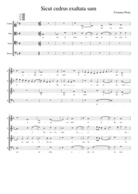 Sicut cedrus exaltata sum