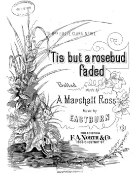 'Tis But a Rosebud Faded