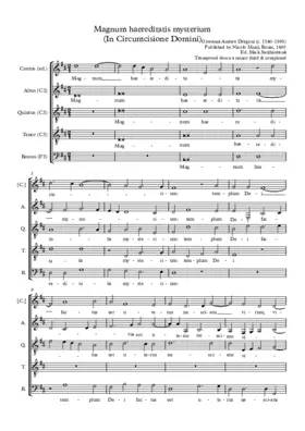 Magnum haereditatis mysterium