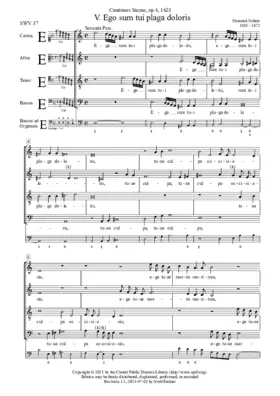 Ego sum tui plaga doloris, SWV 57