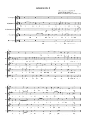 Lamentations II