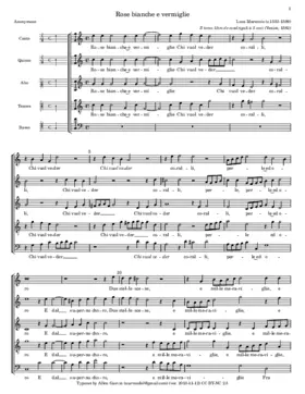 Rose bianche e vermiglie