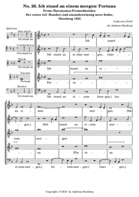 Ich stund - Fortuna desperata