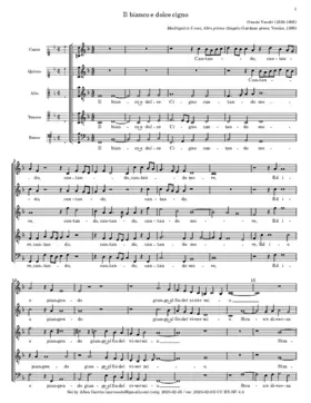 Il bianco e dolce cigno